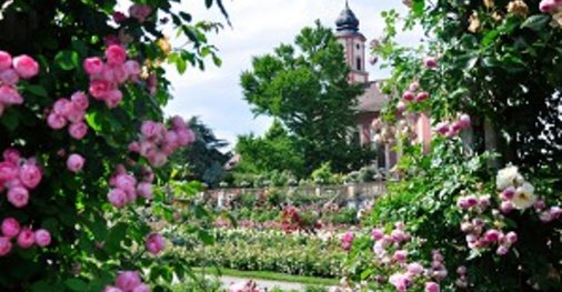 Insel Mainau: Blütenzauber