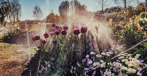Landesgartenschau Ellwangen